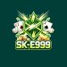 SK-E999 GAME