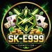 SK-E999 GAME